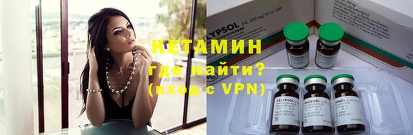 прущие грибы Армянск