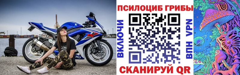 закладка  Весьегонск  Псилоцибиновые грибы мухоморы 